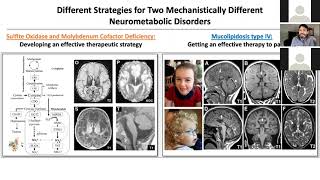 Grand Rounds: Developing Gene Therapies for Ultra-rare Diseases in the Academic Setting
