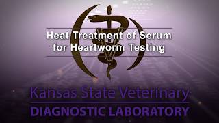 Heat Treatment for Heartworm Testing