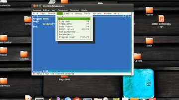 Instalando FPC (Free Pascal) e Geany no GNU/Linux Ubuntu