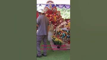 ☆☆☆☆☆Sắc hoa tràn ngập trên mộ của Ông Hoàng Cải Lương Hồ Quảng NSUT Vũ Linh♡♡♡