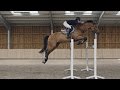 Seeing The Stride: The Story of Tess Carmichael, British Show Jumper