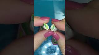 Famous TUTORIAL miniature stromanthe plant with polymer clay 🌱 preview Net Worth