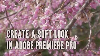 Creating a soft look with Adobe Premiere Pro screenshot 4