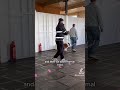 Reactive/ aggressive Australian Shepherd.