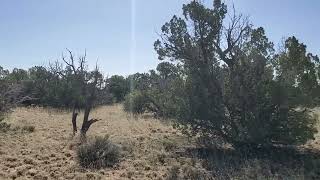 5.13 Acres of Land for Sale. Apache County. Arizona Land For Sale.