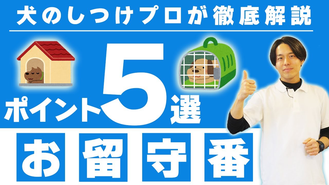 犬お留守番】長時間のお留守番のさせ方5選とお留守番の考え方【しつけ