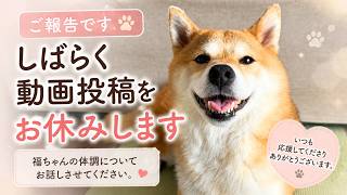今後の動画投稿について