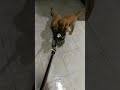 VID 20181207 185834