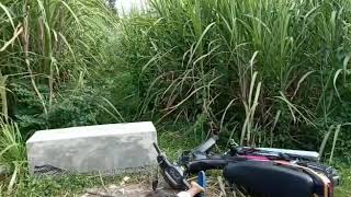 Dory kowe tak sayang sayang story wa