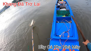 Khang Trở Lại Đột Kích Những Đàn Cá Khu Nhà Máy Sông Tiền | Kích Cá Miền Tây | Catch Fish