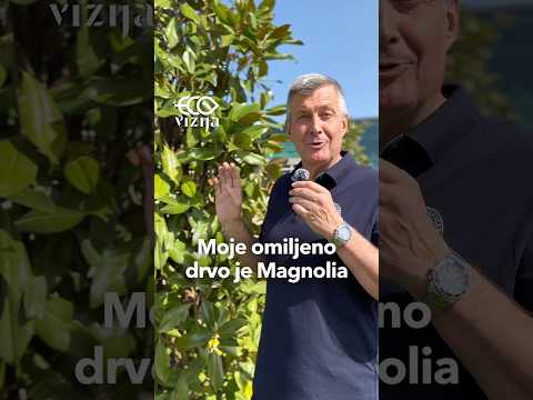 #ekovizija