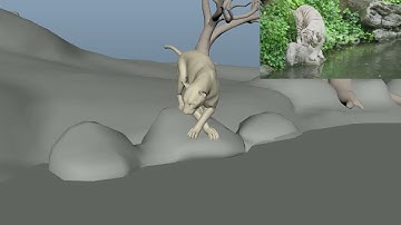 REVISE-TCS Academy - Animation - Skills Test