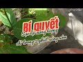 Bí quyết sạc lại năng lượng chỉ trong 2 phút sáng sớm ​#hoangVlogg #chaobuisang #nangluongtichcuc 