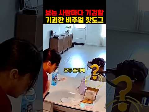 보는 사람마다 기겁할 기괴한 비주얼의 핫도그 thumbnail