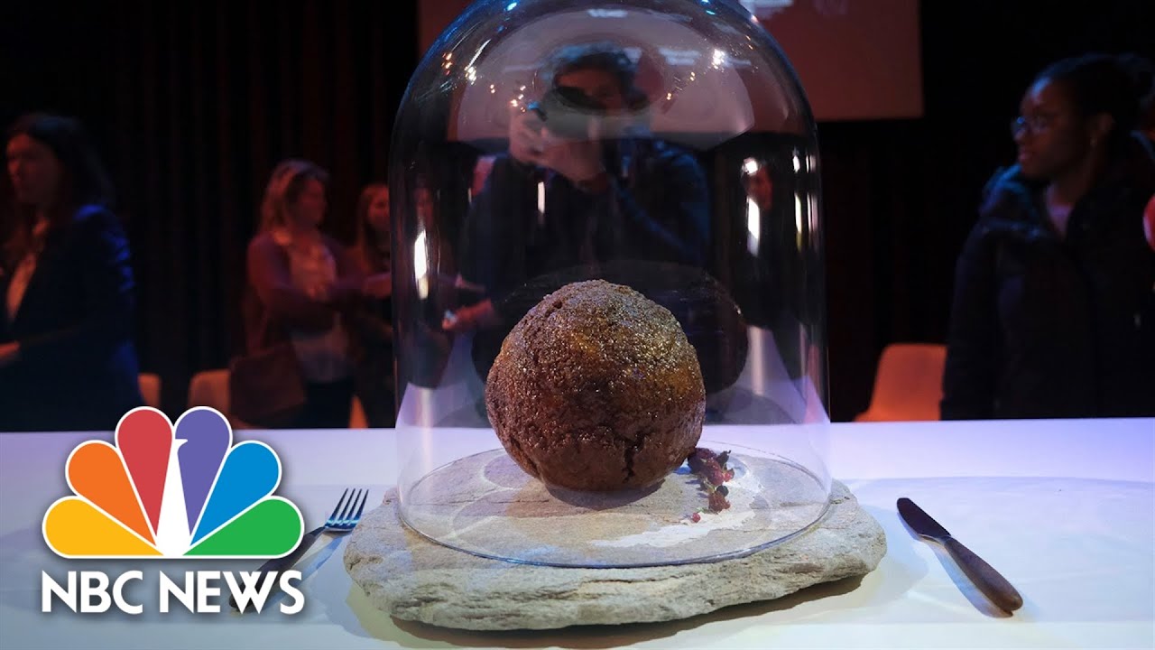 Australian start up unveils ‘mammoth meatball’ made from mastodon genetics