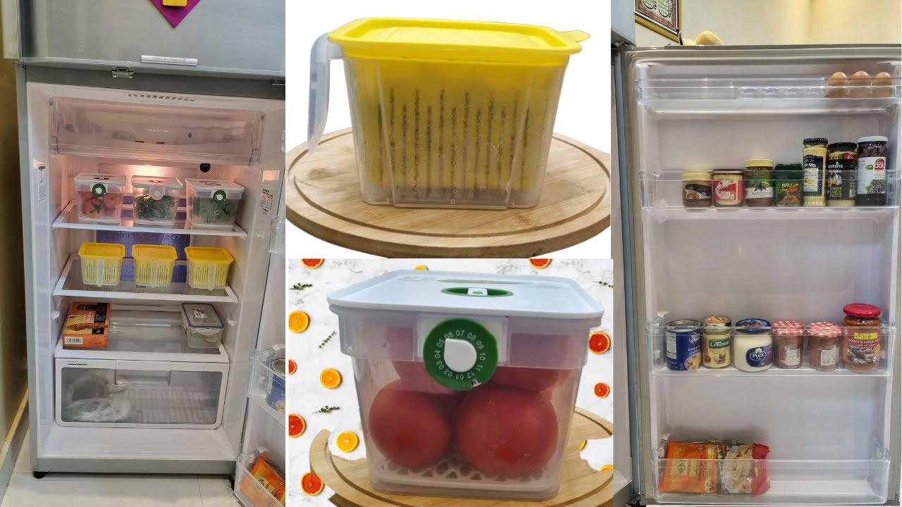 Refrigerator Organizing Ideas Remove Bad Smell From Refrigerator