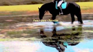 Paradise Jenny Mambo Hd