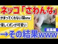 【2ch動物スレ総集編】ネッコ「さわんな」→それでも撫でた結果ｗｗｗ／コオロギなんか食えるか！他