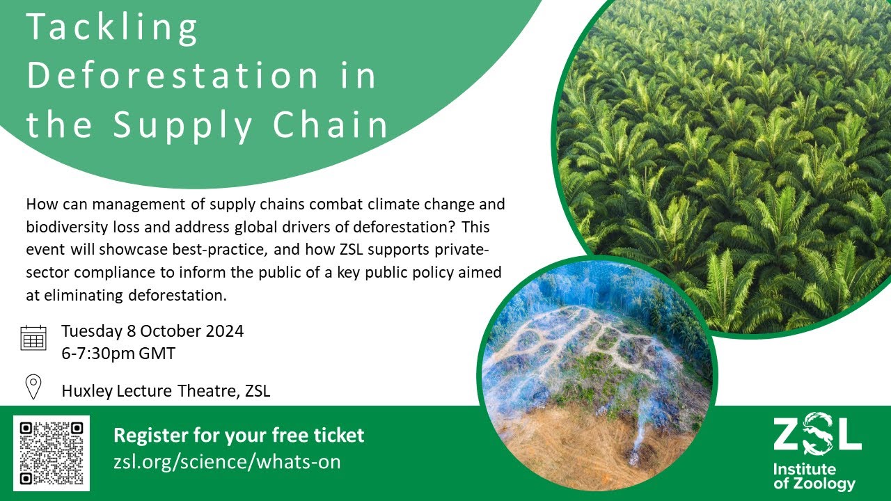 Tackling Deforestation in the Supply Chain - YouTube