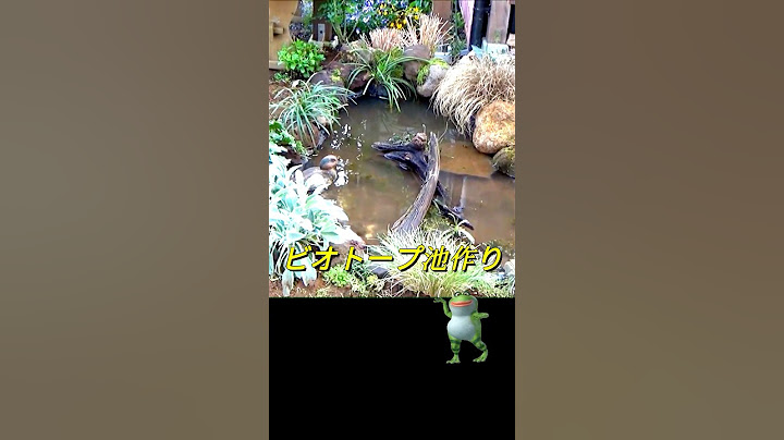 Making a biotope pond #Gardening #Pond where crabs come