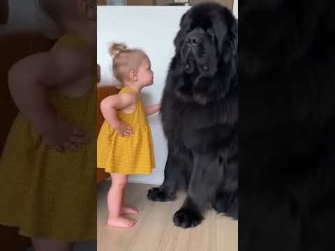 #shorts #viral