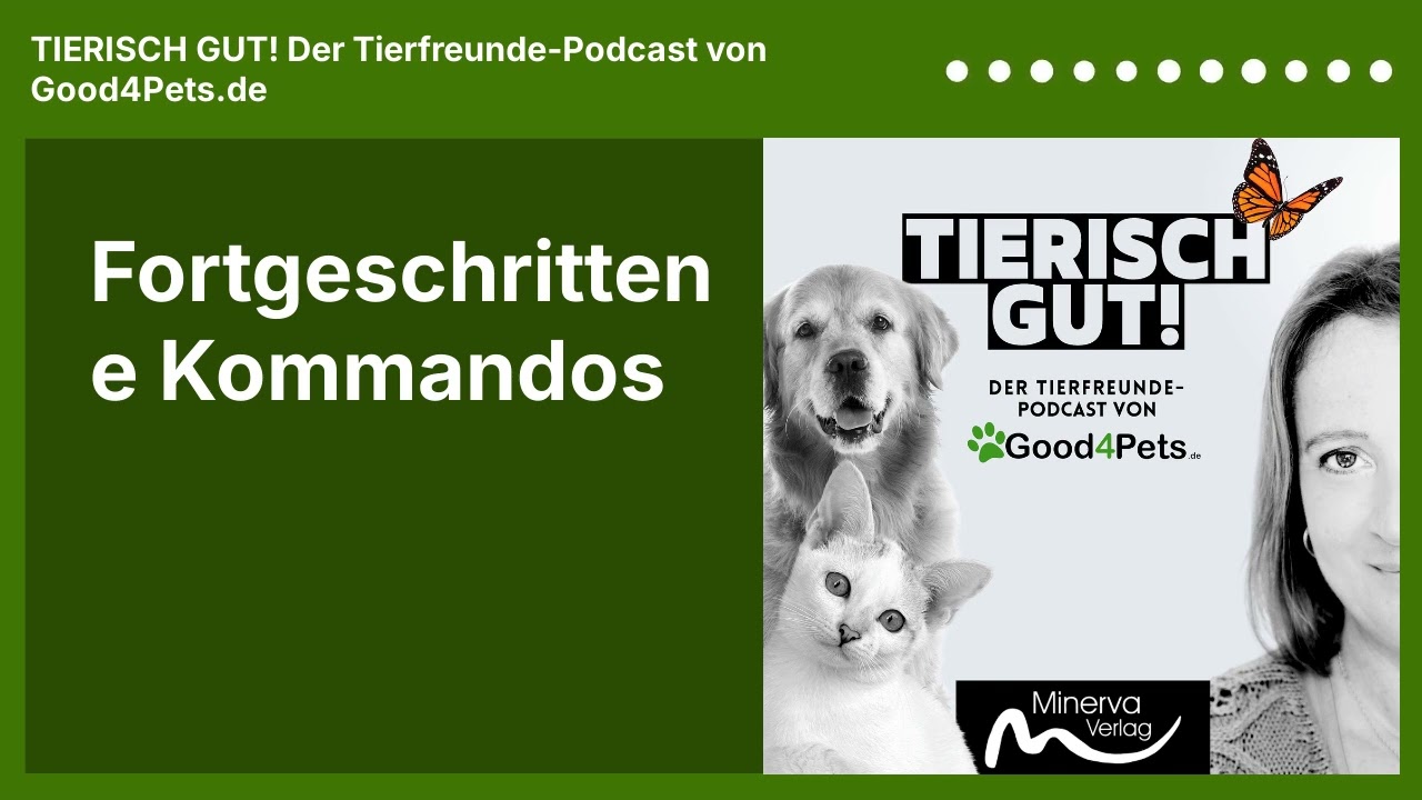 Fortgeschrittene Kommandos | TIERISCH GUT! Der Tierfreunde-Podcast von Good4Pets.de