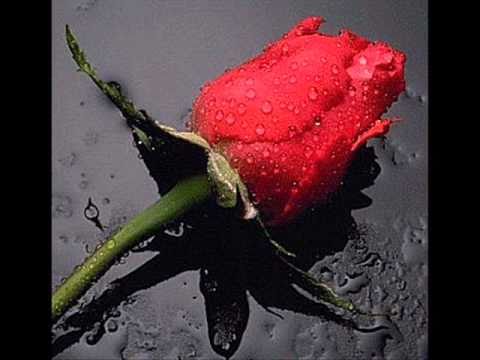 Pyaar Humko Hone Laga