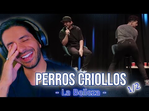 1 ᵃ Vez Reaccionando a "Perros Criollos" - La Belleza