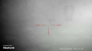 Mårhund Lundø 2/10-22