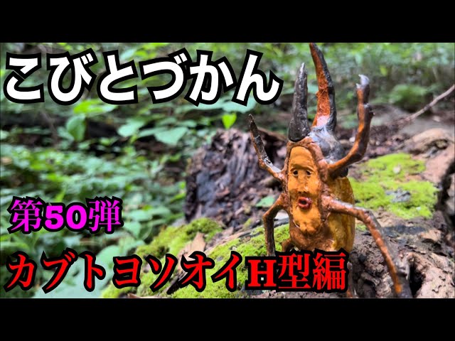 こびとづかん】カブトヨソオイH型見つけるまで帰れま10