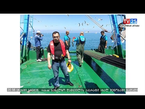 მეთევზეობისა და შავი ზღვის მონიტორინგის დეპარტამენტის უფროსმა თანამდებობა დატოვა