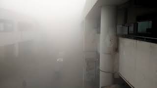 Video 20181225 075838