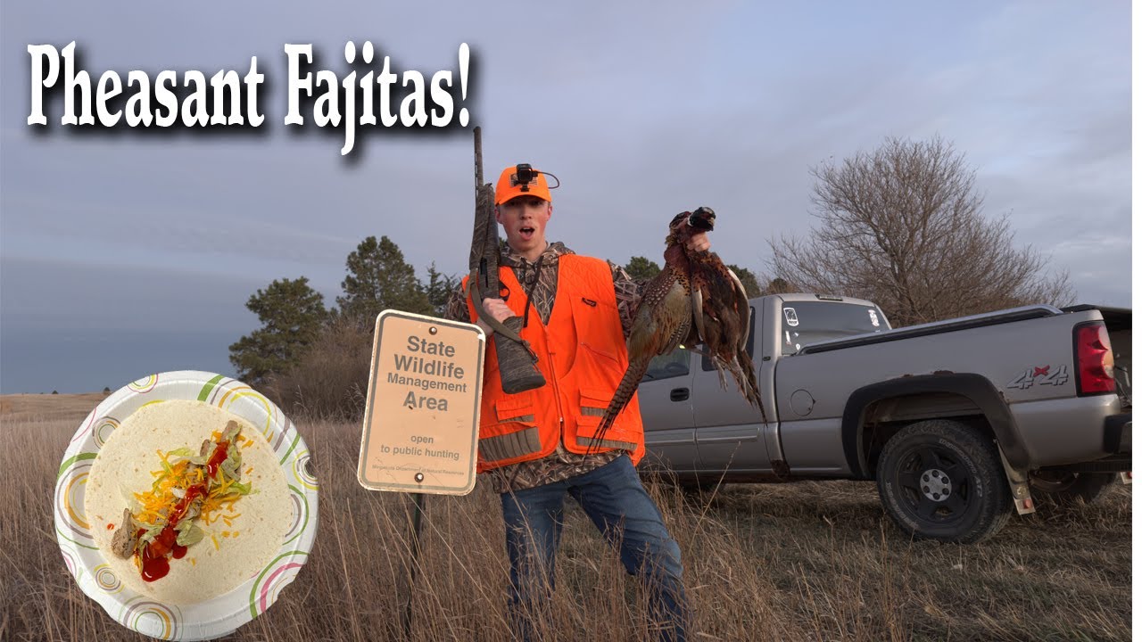 Minnesota Pheasant Hunting 2022! (Pheasant Fajitas!) YouTube