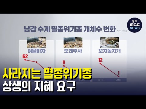 사라지는 멸종위기종...<strong>상생의</strong> 지혜 요구 (뉴스투데이 2022.8.1 광주MBC)