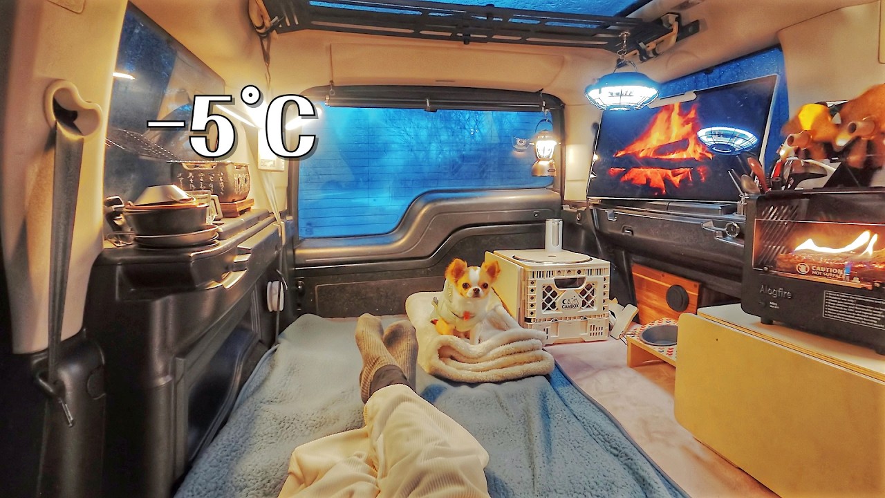 Наслаждаюсь зимним кемпингом на машине с 10-месячным щенком при температуре -5°C.