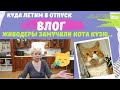 Куда летим в отпуск/Задержали на таможне посылку/Живодеры замучили кота Кузю@SubTatiana LIFEVLOG