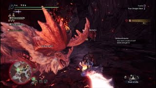 Monster Hunter World Iceborne - My Fastest Banbaro Kill