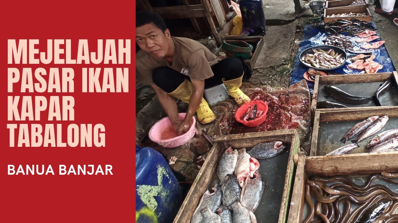 Menjelajah Pasar Tradisional Kapar, Tabalong|| Ikan Baung Asam Pedas