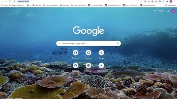 Day 1 Introduction to Python and PL