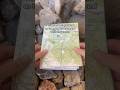 Some Common Map Colors Landnavigation Hiking Outdoors Map 