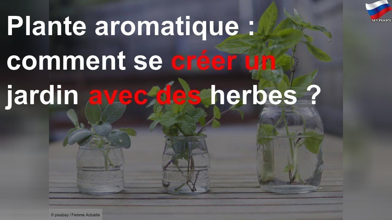 Plante aromatique comment se créer un jardin avec des herbes ? YouTube — free download