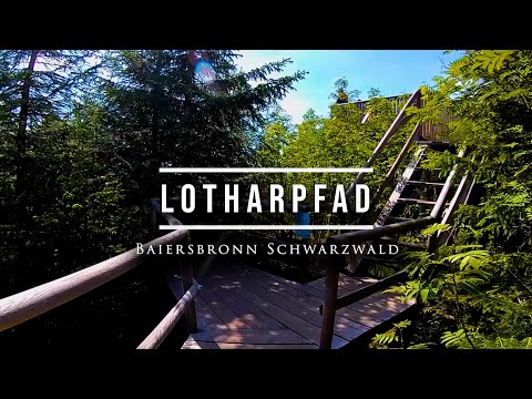 Reisen im Schwarzwald Lotharpfad Baiersbronn