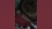 СO 28. Початок кращого