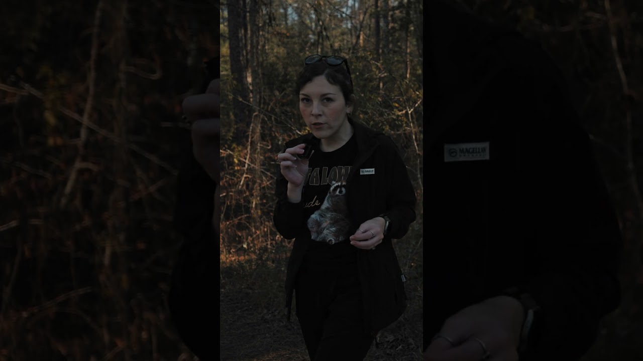 Все дороги были размыты.