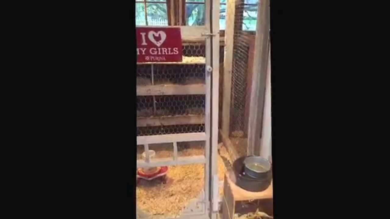 Fancy Victorian shabby chic chicken coop. YouTube