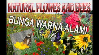 Natural Flowers And Bees Bunga Dan Lebah Alami Youtube