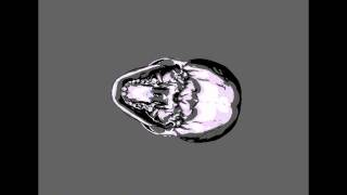 Asm Shader