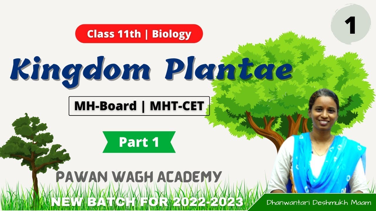 Kingdom Plantae | Class 11th Biology | Part 1