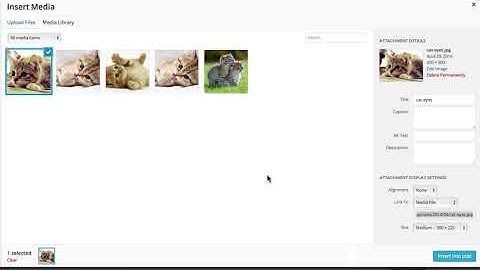 31 WordPress || Working With Images || add image from pc
