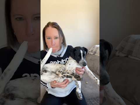 Probando mi gaita 😂